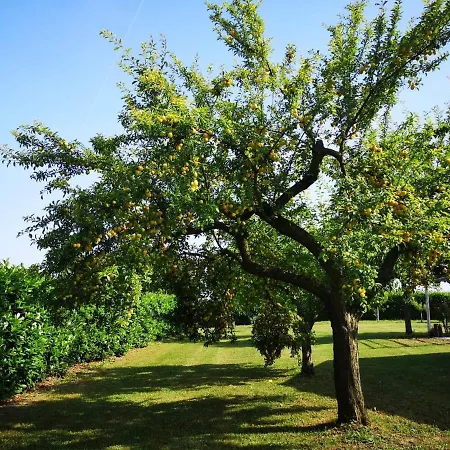 בית כפרי Oasi House *